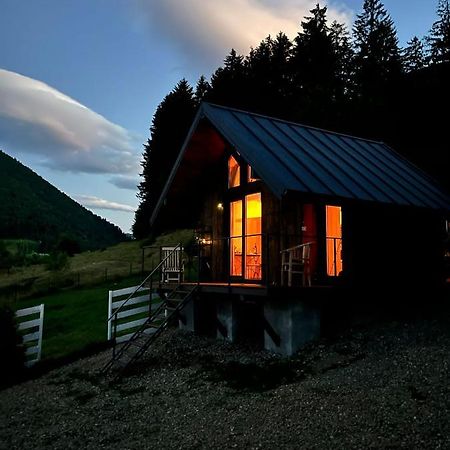 Bramble Tiny House Villa Zarnesti Ngoại thất bức ảnh