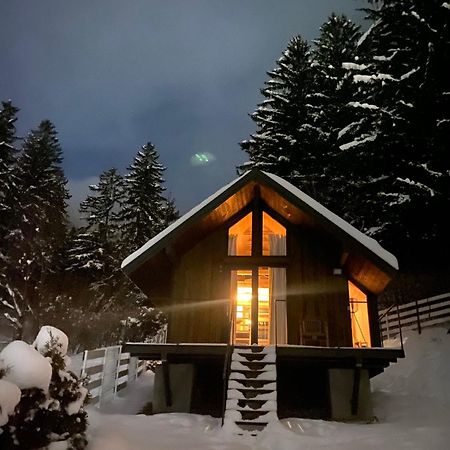 Bramble Tiny House Villa Zarnesti Ngoại thất bức ảnh