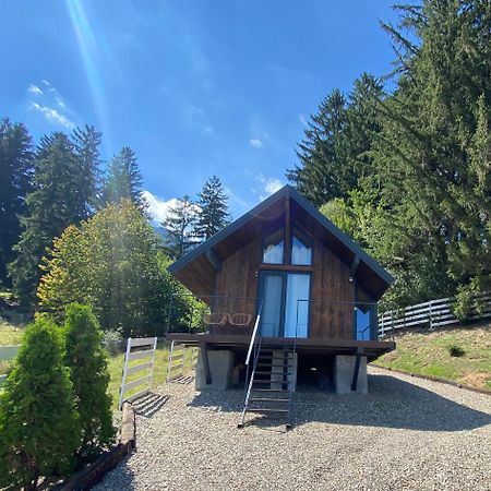 Bramble Tiny House Villa Zarnesti Ngoại thất bức ảnh