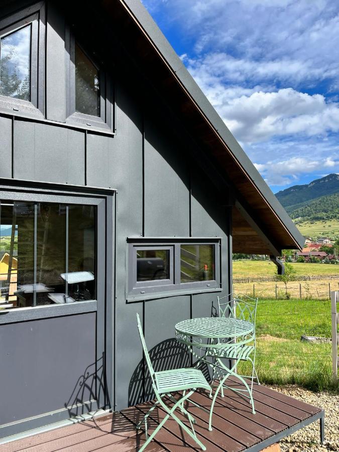 Bramble Tiny House Villa Zarnesti Ngoại thất bức ảnh